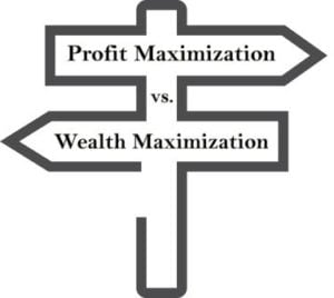 Profit vs. Wealth Maximization