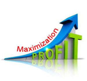 Profit Maximization or Maximization of Profits