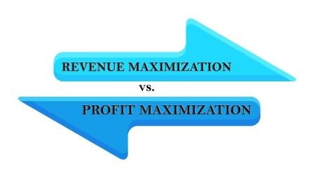 profit revenue maximization vs efinancemanagement financial management