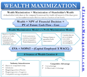 Wealth Maximaization