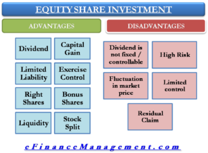 Equity Share Investment