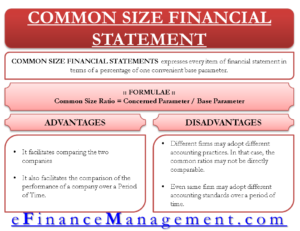 Common Size Financial Statements