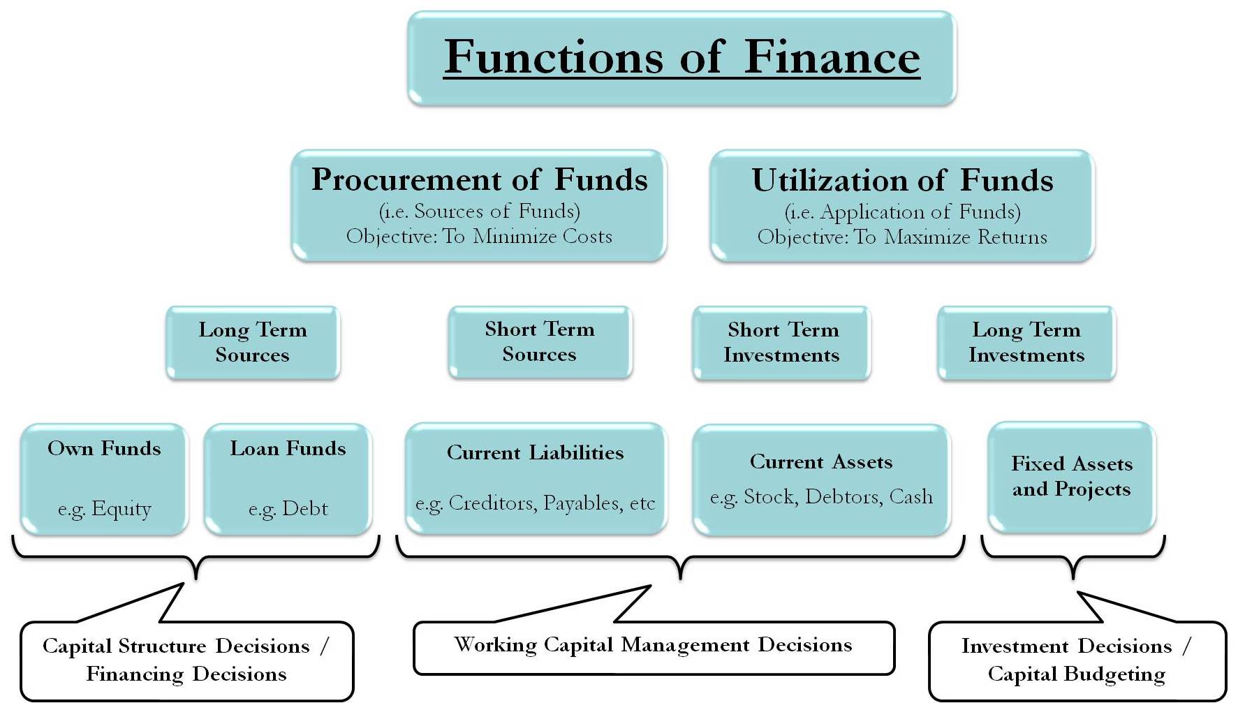 Draw The Organisational Chart Of Finance Function