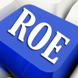  Return on Equity (ROE)