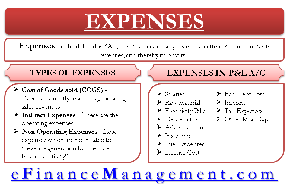 expense meaning