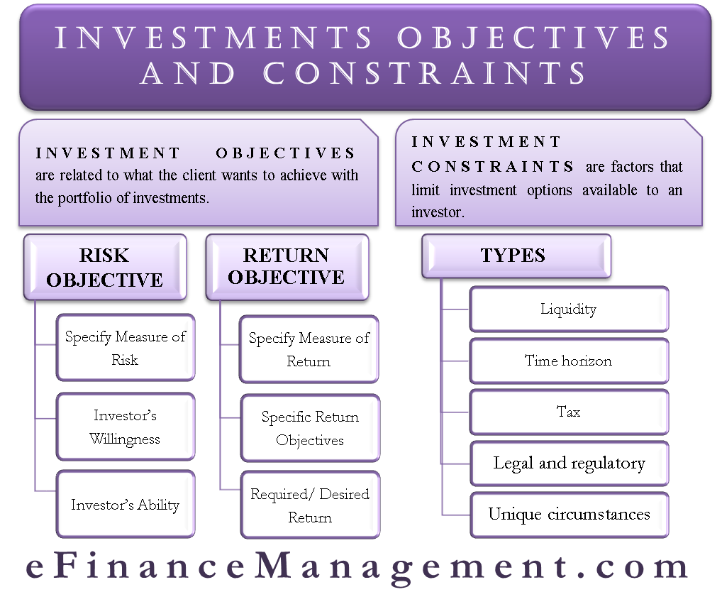 Business Portfolio Objectives And Constraints