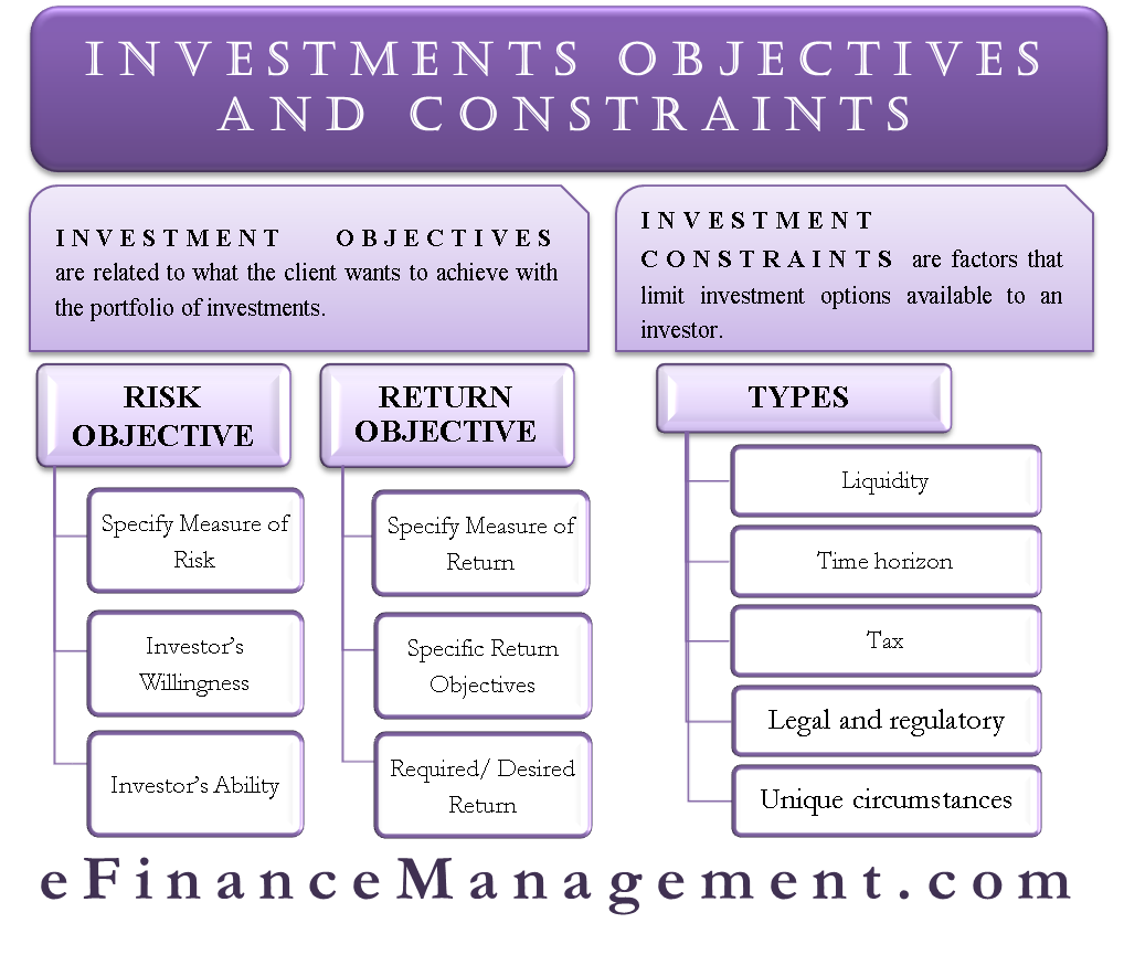 Investment Objectives And Constraints