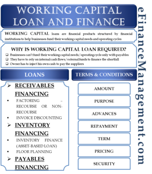 business plan for working capital loan