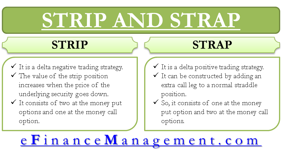 Strip and Strap eFinanaceManagement