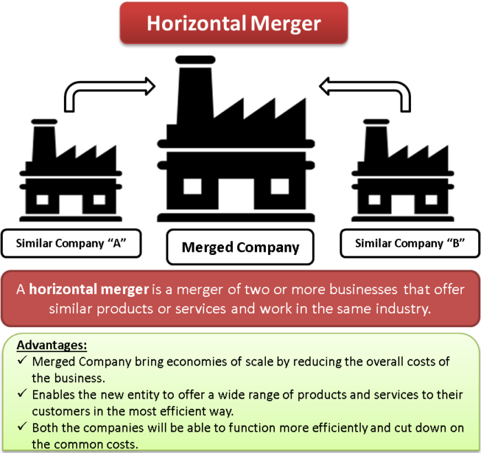 Horizontal Merger | eFinanceManagement.com