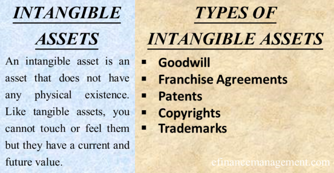 16 Types Of Intangible Assets Each Explained In Brief Efm 2437