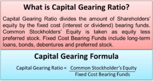 Capital Gearing Ratio