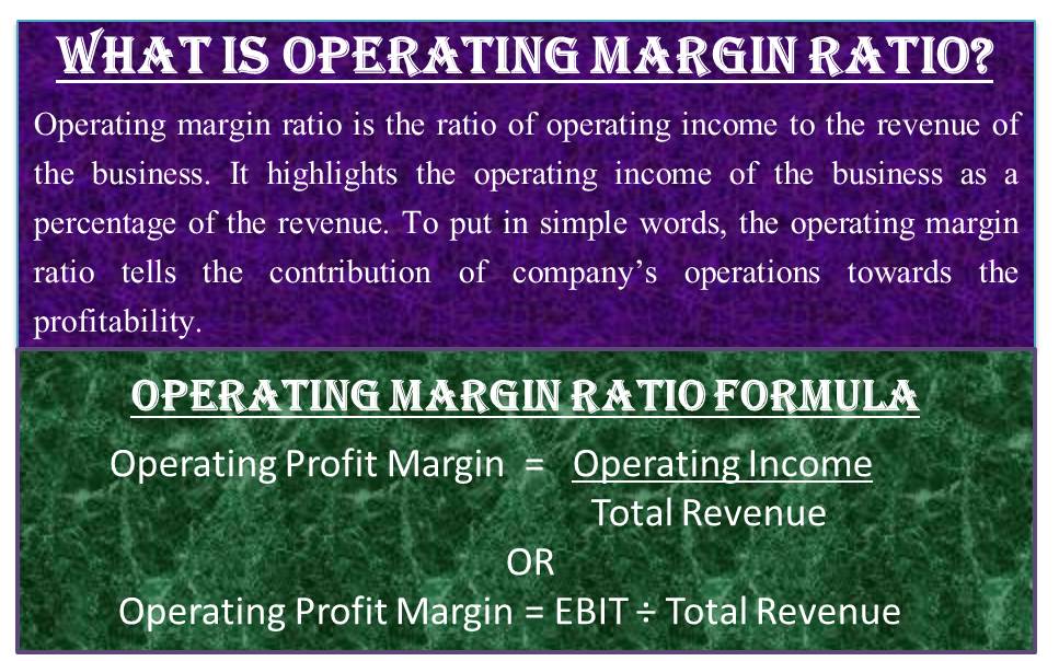 Operating Margin Ratio