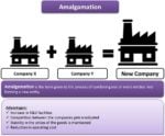 Amalgamation | eFinanceManagement