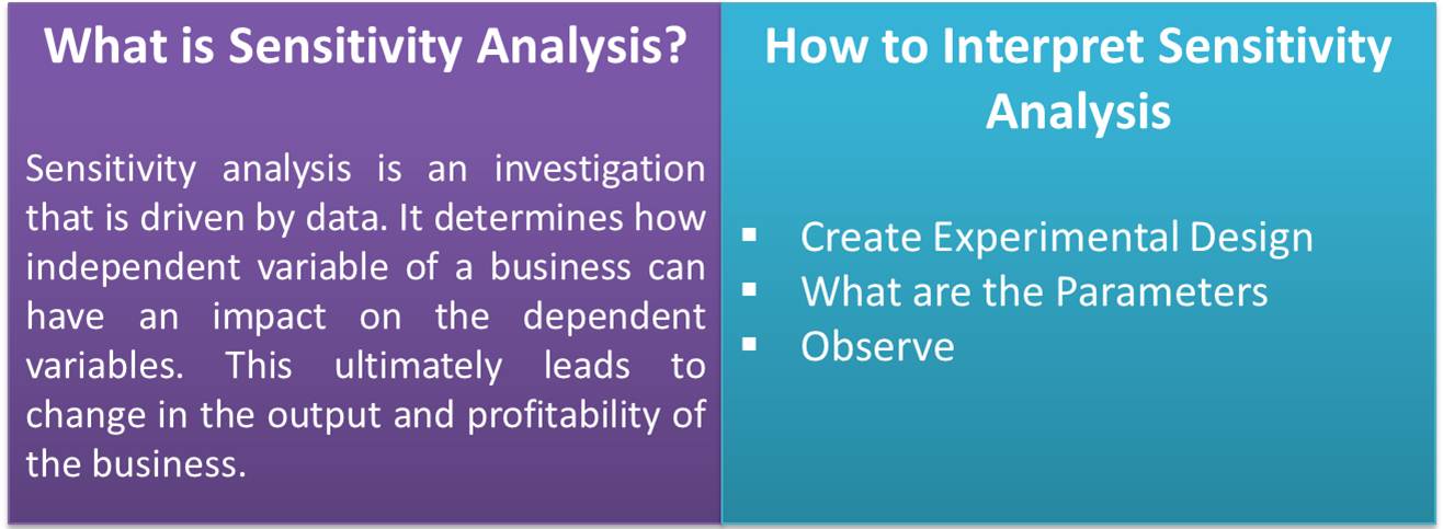 Sensitivity Analysis Definition Example Interpretation Methods Efm