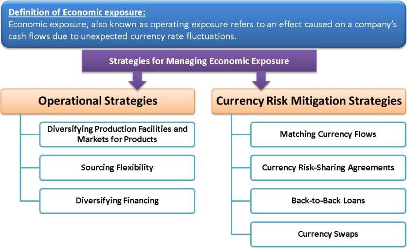 Economic Exposure Strategies For Managing Economic Exposure