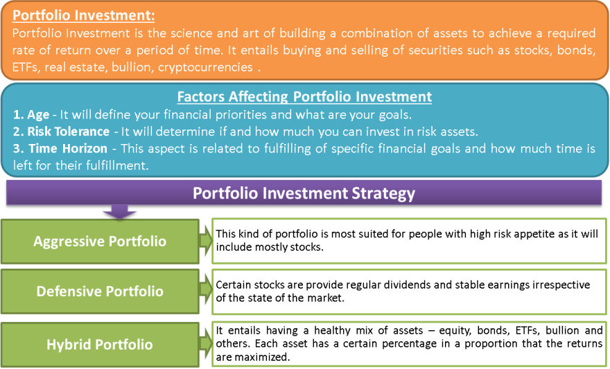 Portfolio Investment