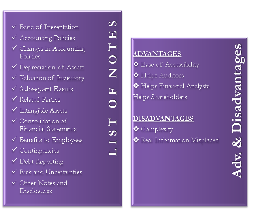 Financial Statement Notes