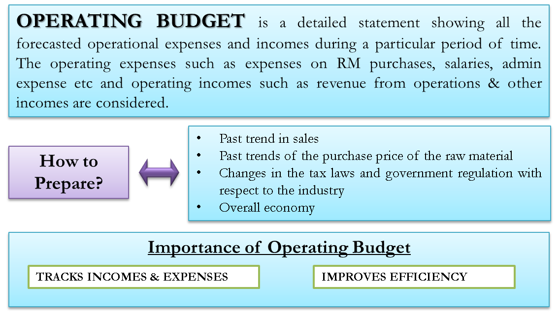 Operating Budget Meaning