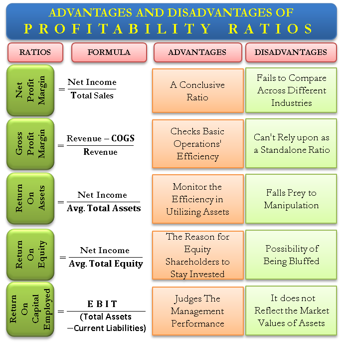 advantages and disadvantages of profitability ratios efm grubhub financial statements balance sheet for non profit organisation template