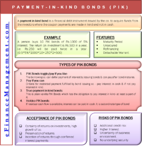 Payment in Kind Bonds (PIK)