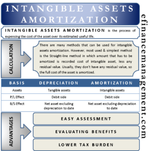 Intangible Asset Amortization
