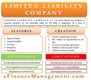 Limited Liability Company | Meaning, Features, Pros & Cons