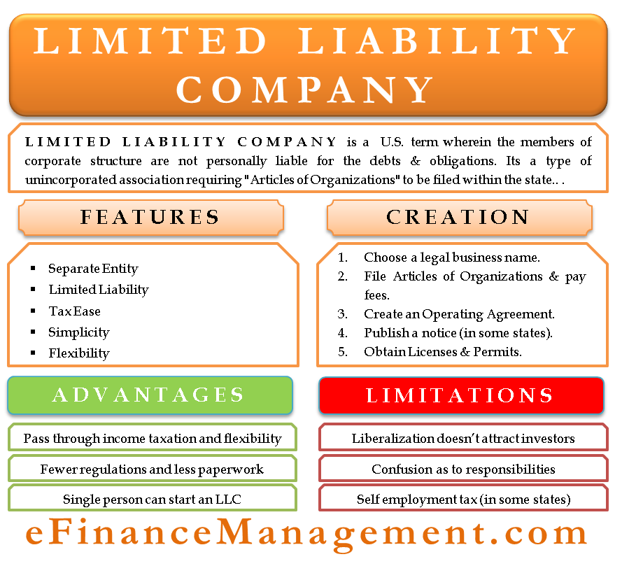 Limited Liability Company Meaning Features Pros Cons