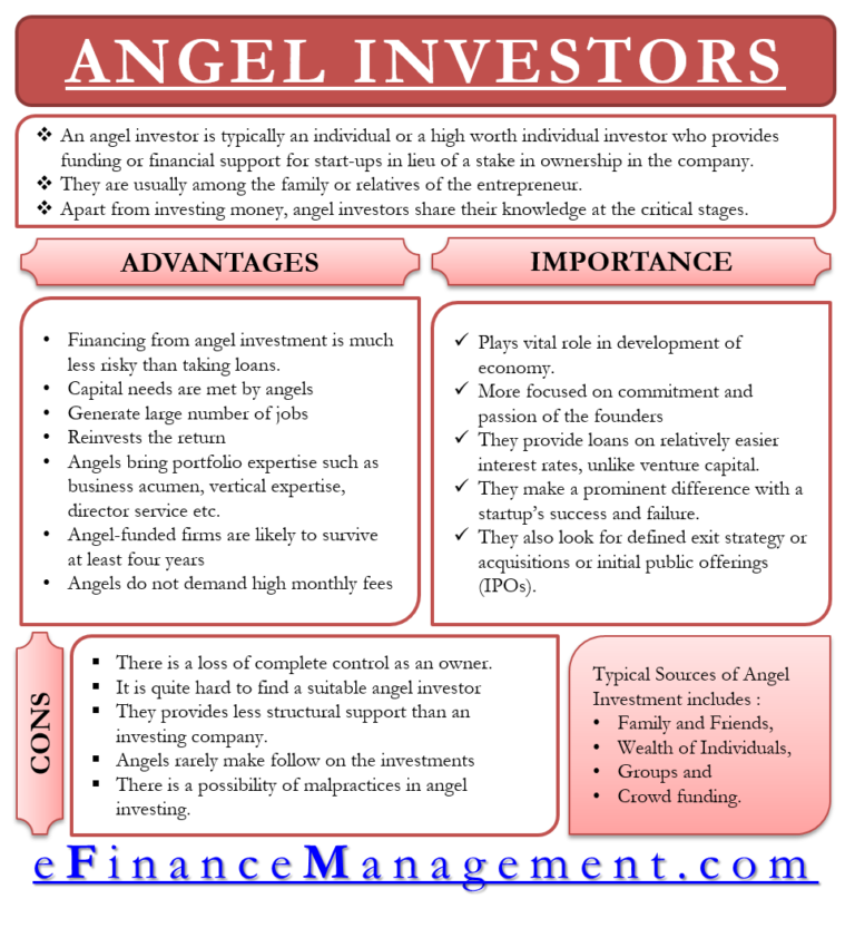 angel investors essay