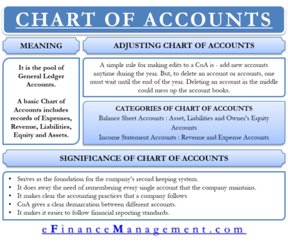 explain the role of chart of accounts in computerized financial accounting