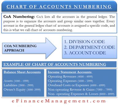 Chart of Accounts Numbering – Meaning, Approach & More | eFM