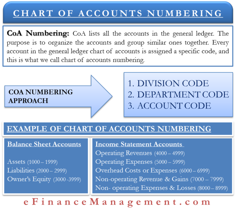 Chart of Accounts Numbering Meaning, Approach & More eFM