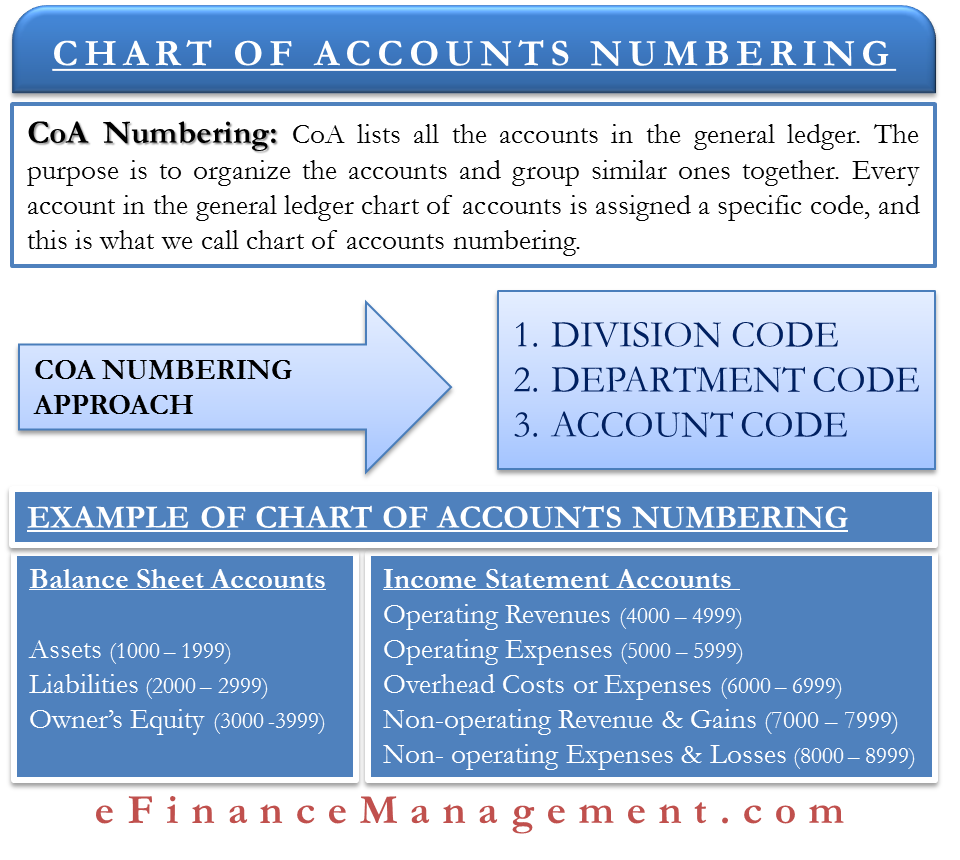 Chart Of Accounts Numbering Meaning Approach Example Efm