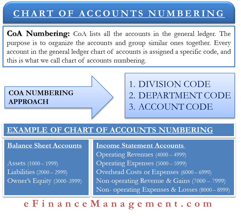 Chart Of Accounts Numbering Meaning Approach Example Efm