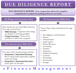 Due Diligence Report