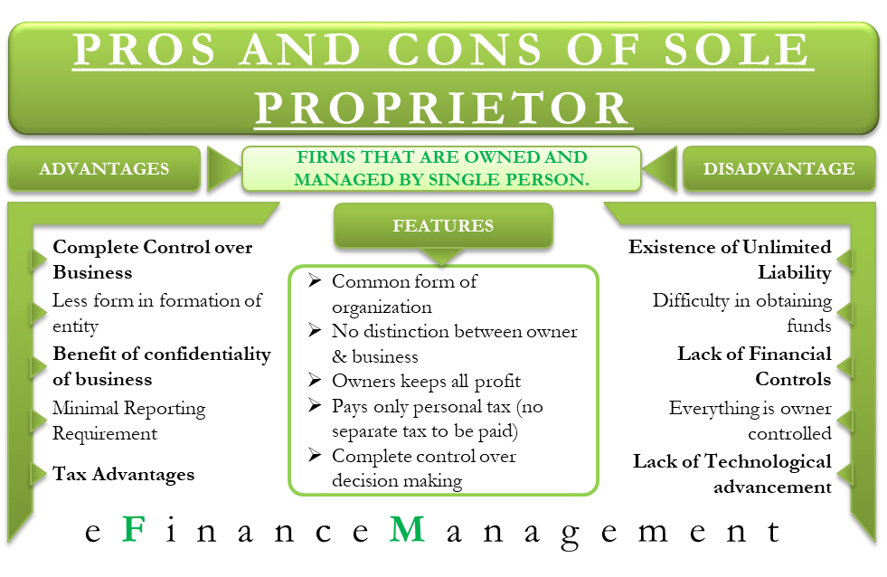 Sole Proprietorship Maximize Benefits in 2024 2024 AtOnce