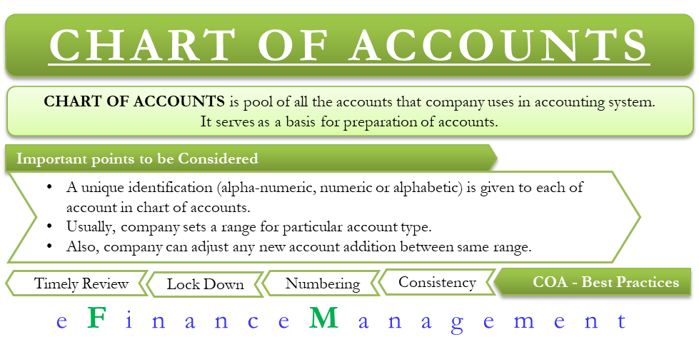 A Chart Of Accounts Includes