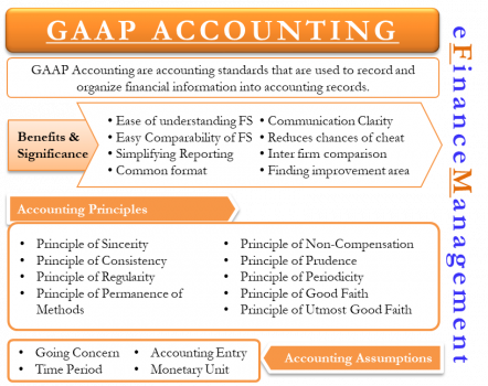 generally accepted accounting principles gaap wip