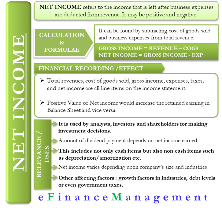 net income business plan