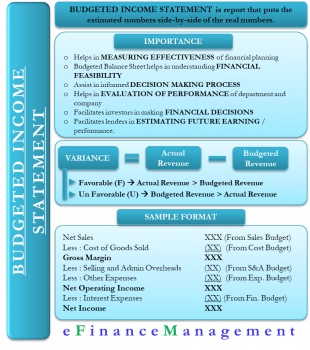 what is budgeted revenue definition and meaning