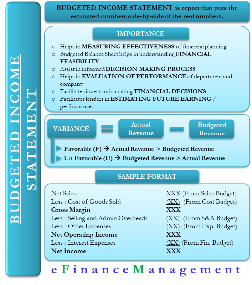 Budgeted Ine Statement Meaning Importance And More