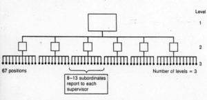 Flat organisational structure - Wide span of control