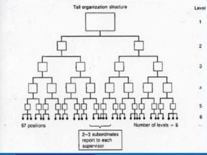 Tall organisational structure - Narrow span of control