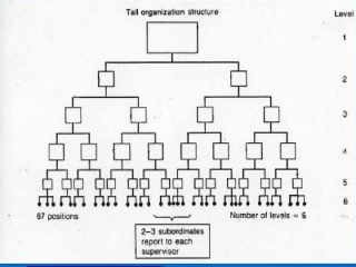 Span Of Control - EFinanceManagement - Management Ratio