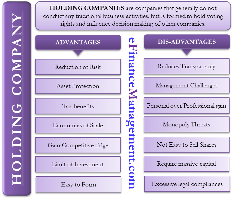 Advantages and Disadvantages of Holding Company