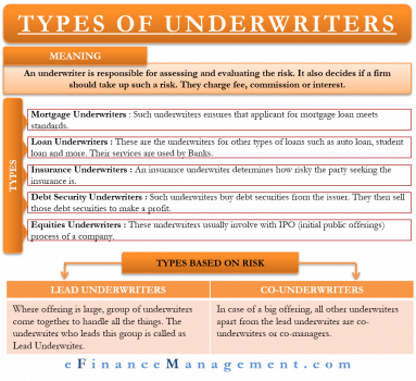 Types Of Underwriters | Brief Role Of Each Of Them | EFinanceManagement