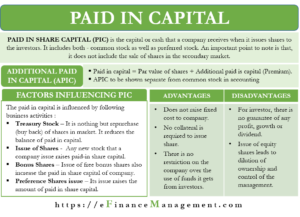 Paid In Share Capital