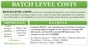 Batch Level Costs