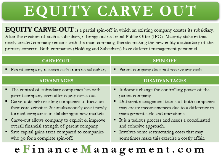 Equity Carve Out