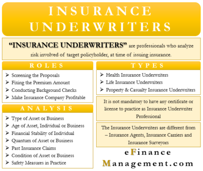 underwriters underwriting casualty efinancemanagement underwriter finance